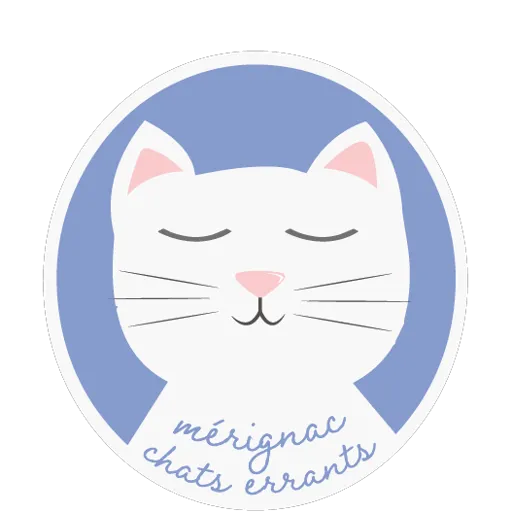 MERIGNAC CHATS ERRANTS