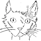 LES CHATS'LIB