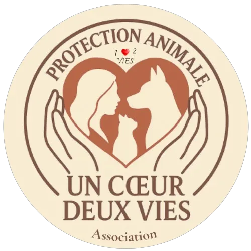 UN COEUR DEUX VIES
