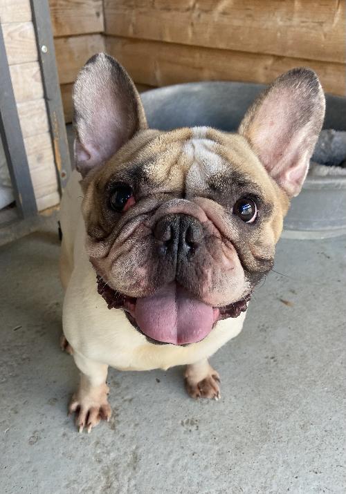 Max